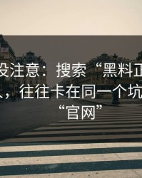 你可能没注意：搜索“黑料正能量往期”的人，往往卡在同一个坑——虚假“官网”