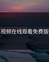 野花视频在线观看免费版高清