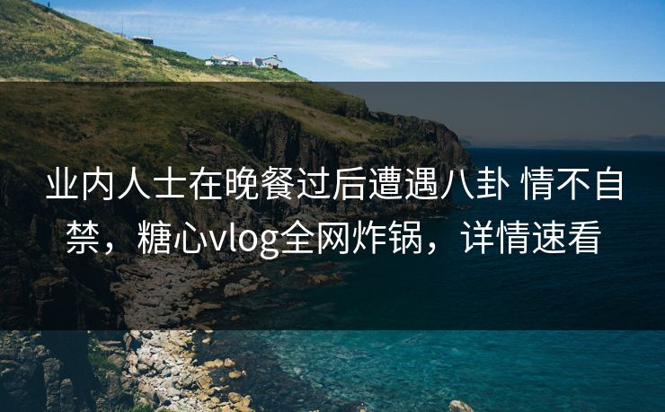 业内人士在晚餐过后遭遇八卦 情不自禁，糖心vlog全网炸锅，详情速看