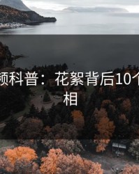 樱桃视频科普：花絮背后10个细节真相
