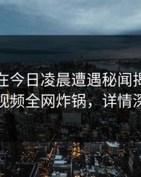 神秘人在今日凌晨遭遇秘闻揭秘，樱桃视频全网炸锅，详情深扒