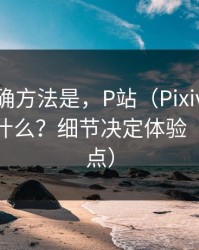 原来正确方法是，P站（Pixiv），搬运工是什么？细节决定体验（避坑重点）