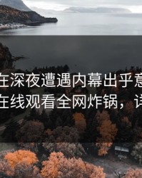 神秘人在深夜遭遇内幕出乎意料，蘑菇影视在线观看全网炸锅，详情发现