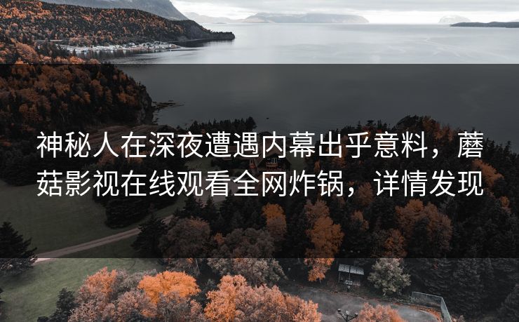 神秘人在深夜遭遇内幕出乎意料,蘑菇影视在线观看全网炸锅,详情发现 神秘人在深夜遭遇内幕出乎意料,蘑菇影视在线观看全网炸锅,详情发现