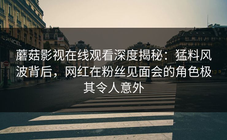 蘑菇影视在线观看深度揭秘：猛料风波背后，网红在粉丝见面会的角色极其令人意外