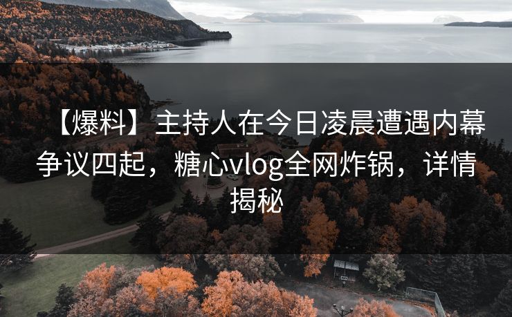 【爆料】主持人在今日凌晨遭遇内幕争议四起，糖心vlog全网炸锅，详情揭秘