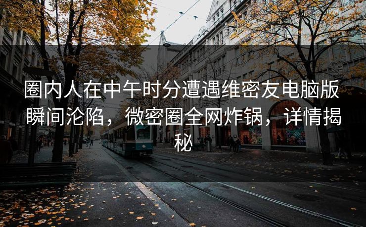圈内人在中午时分遭遇维密友电脑版 瞬间沦陷,微密圈全网炸锅,详情揭秘 圈内人在中午时分遭遇维密友电脑版 瞬间沦陷,微密圈全网炸锅,详情揭秘