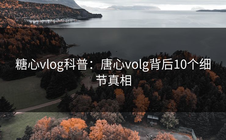 糖心vlog科普:唐心volg背后10个细节真相 糖心vlog科普:唐心volg背后10个细节真相